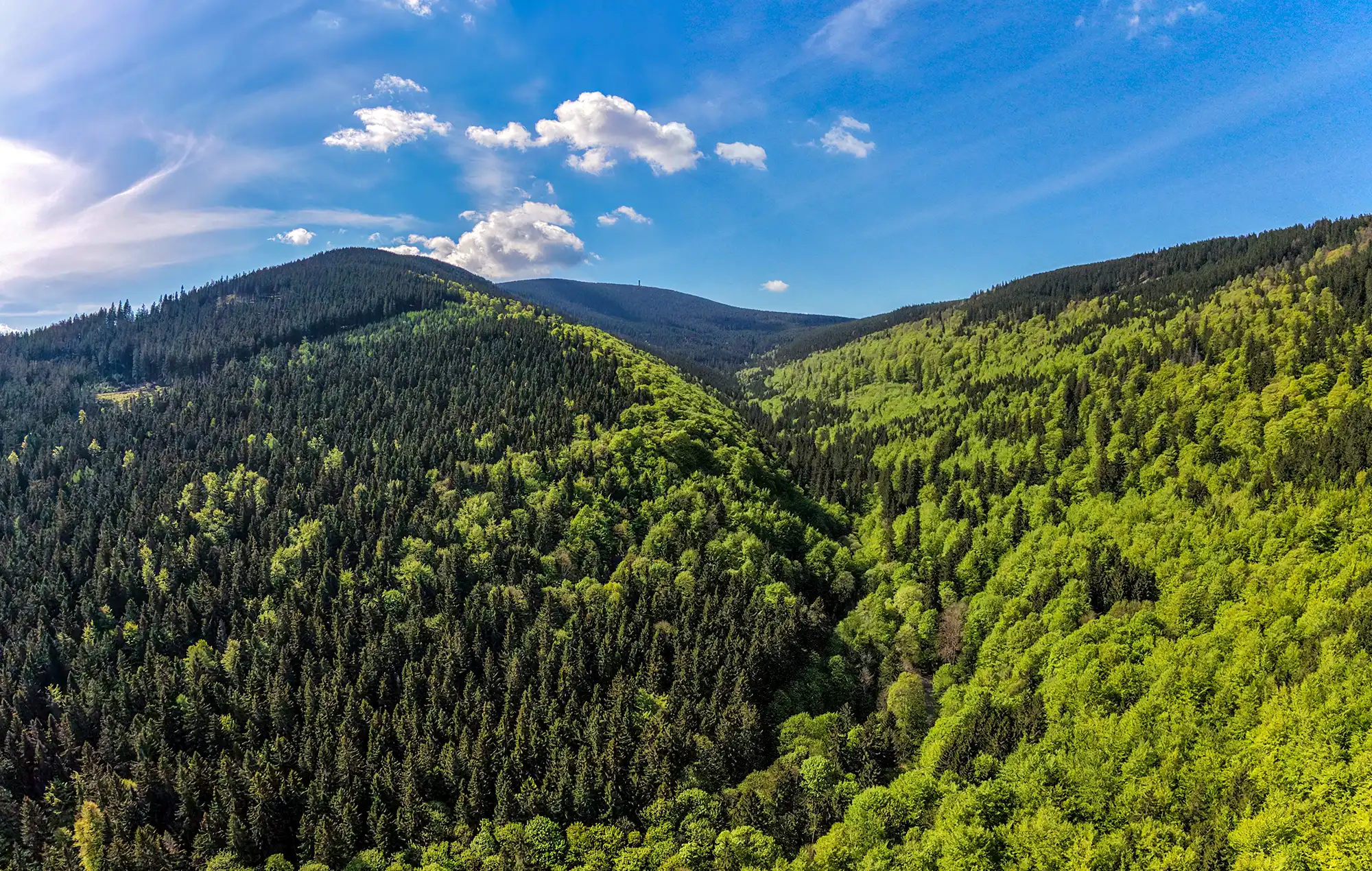 Dolina Kleśnicy i grzbiet Masywu Śnieżnika o poranku